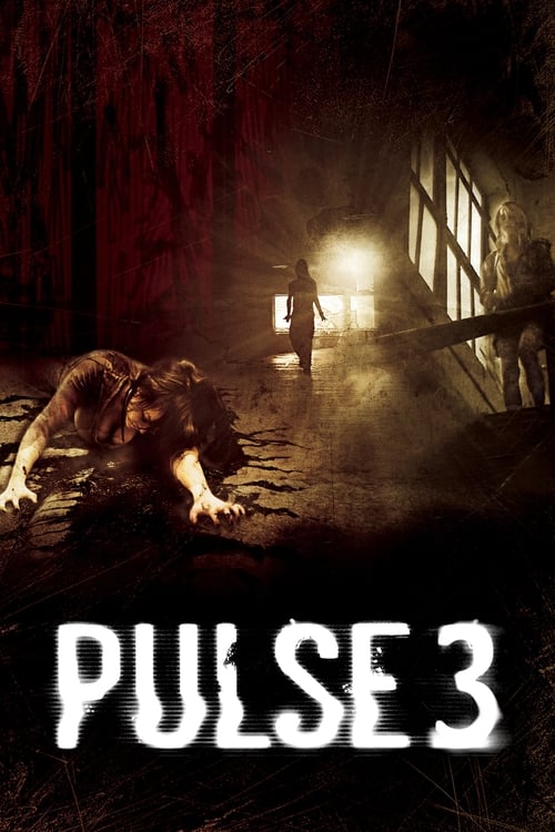 Download Pulse 3 (2008) Dual Audio {Hindi-English} BluRay Full Movie 480p 720p 1080p